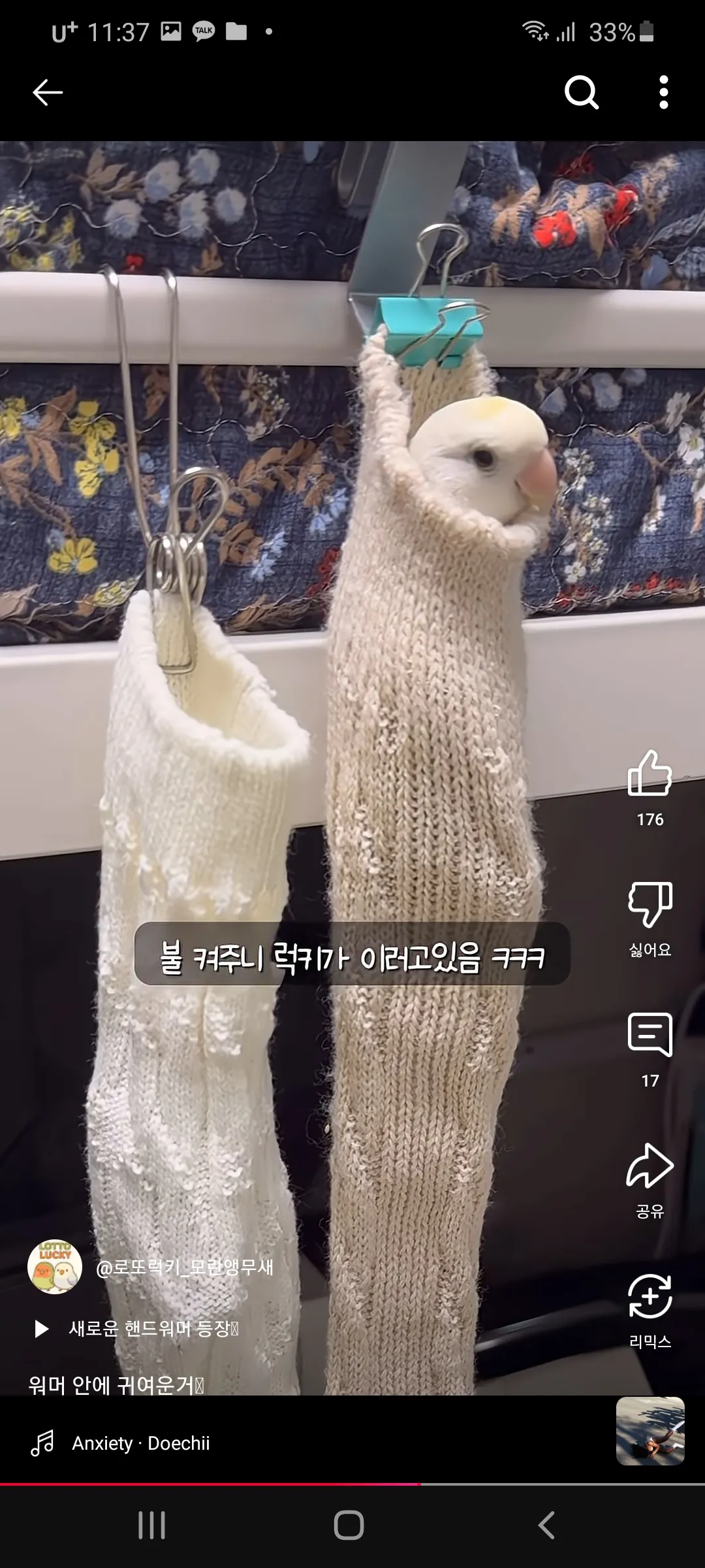 모닝허그으5