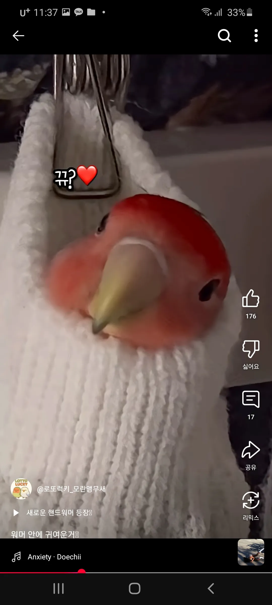 모닝허그으6