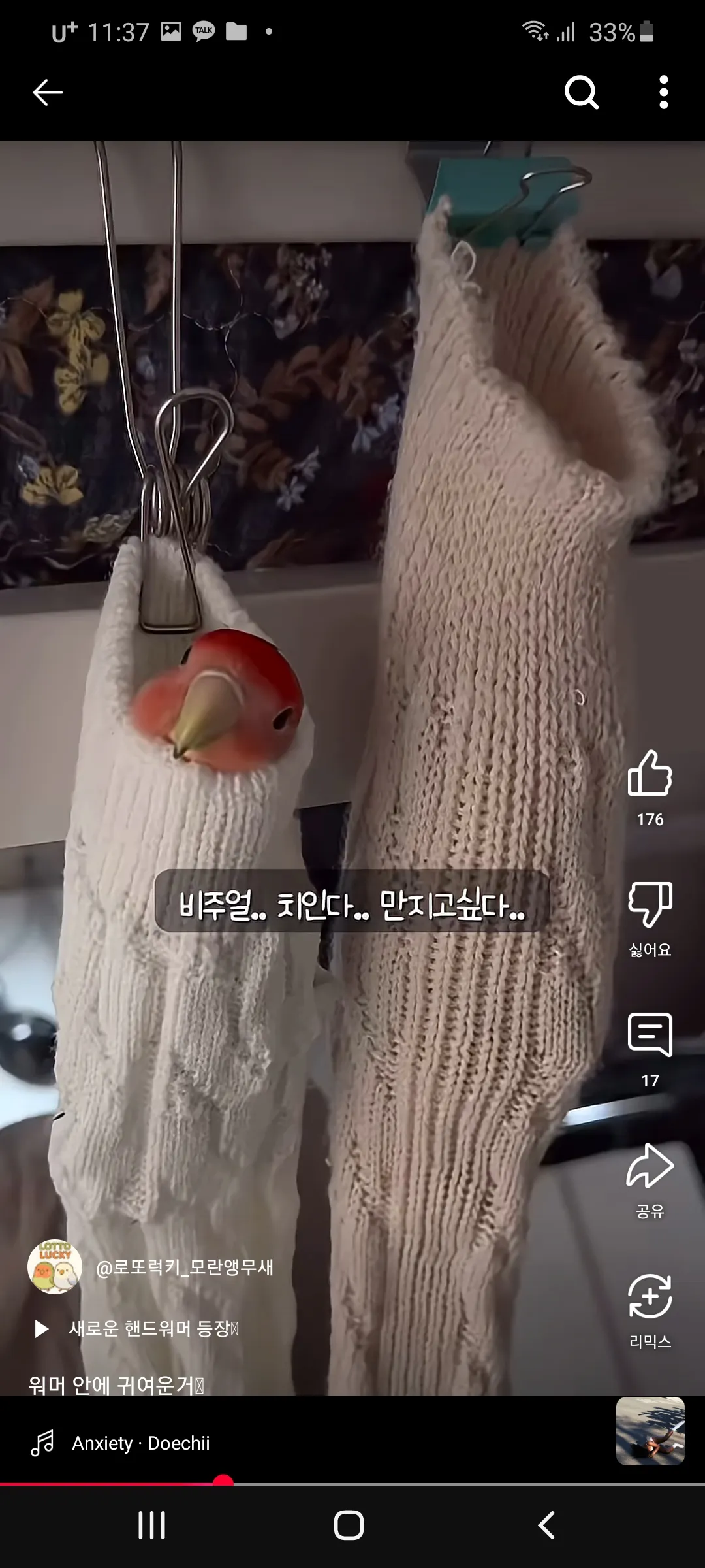 모닝허그으7