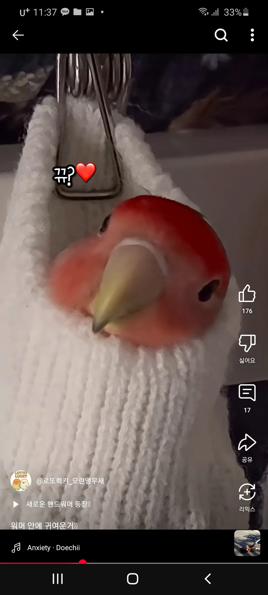 모닝허그으8