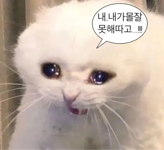 가씨 챙기는거 이럴때 현타온다..