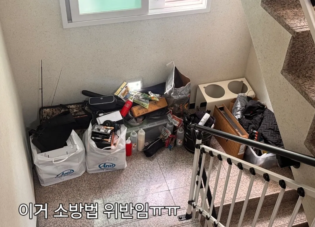 소방법위반과 동물학대ㅠ2