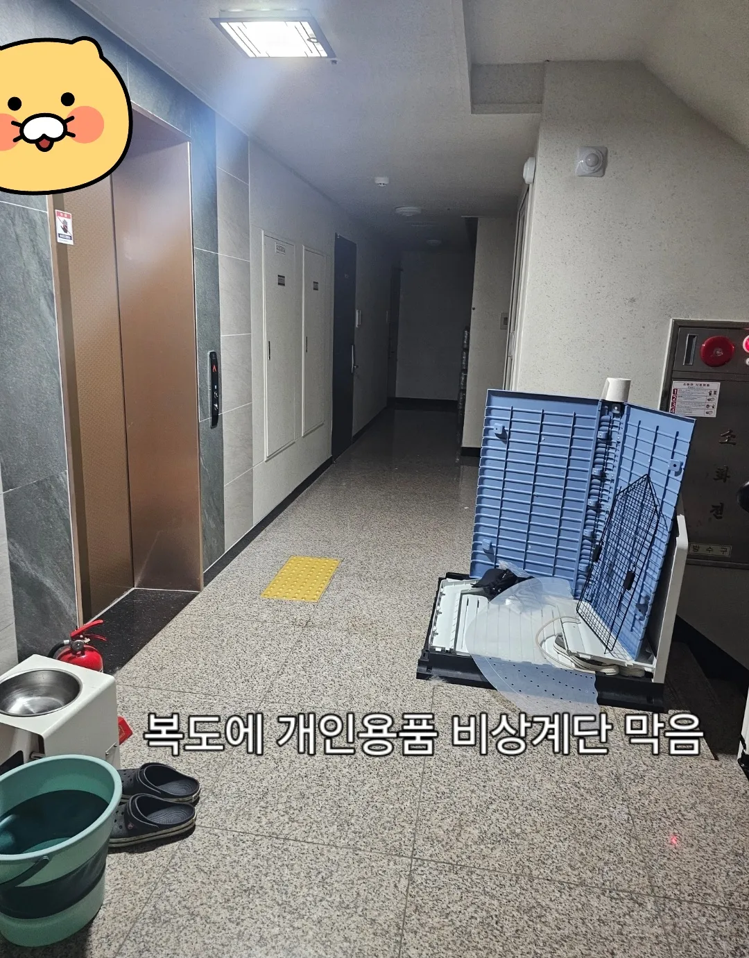 소방법위반과 동물학대ㅠ7