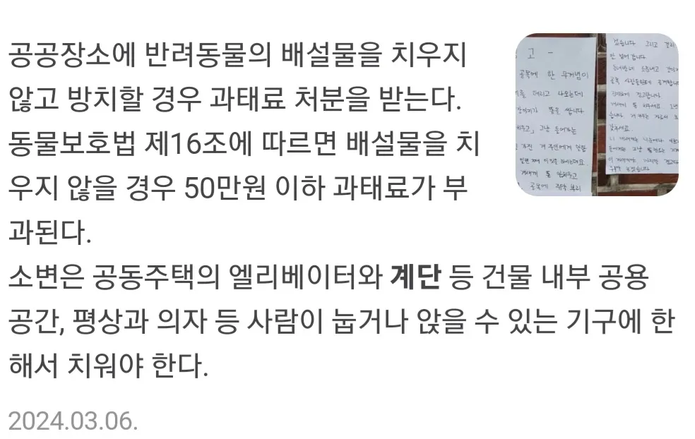 소방법위반과 동물학대ㅠ 댓글
