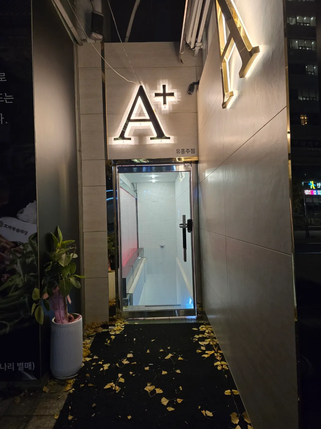 비강남 하이퍼블릭 최고대우