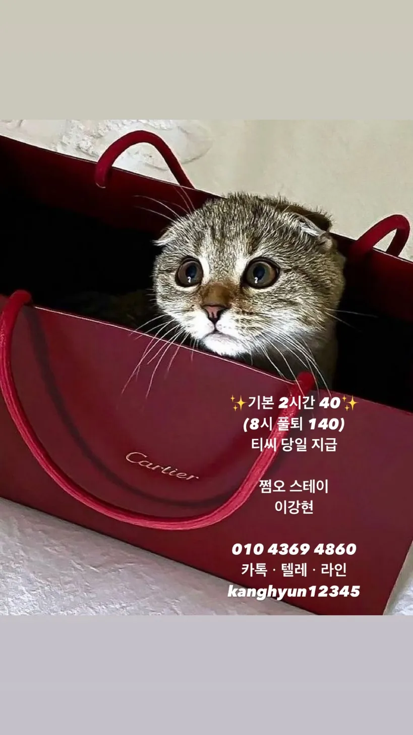 [쩜오]도깨비(스테이)강현_면접비소개비2시간40블랜딩구구단텐카페썸데이퍼펙트도파민유앤미엘리트