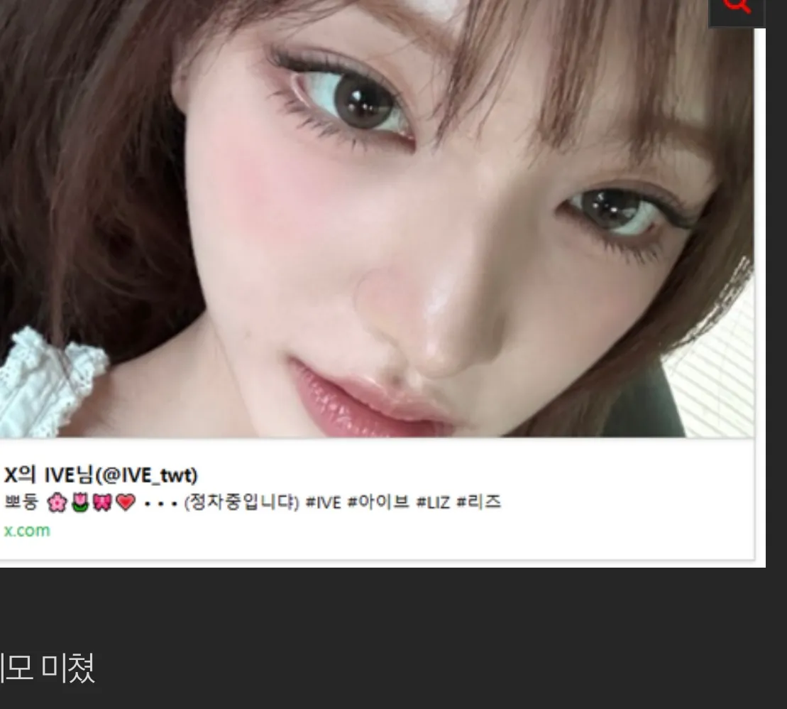 리즈 뒤트임 개존예