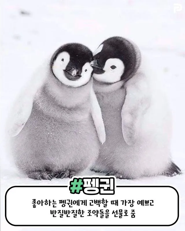 무새 젖엇는데 ㅜㅡㄴ