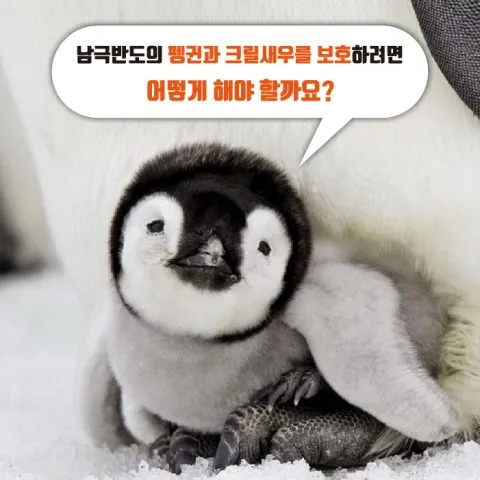 무새 젖엇는데 ㅜㅡㄴ2