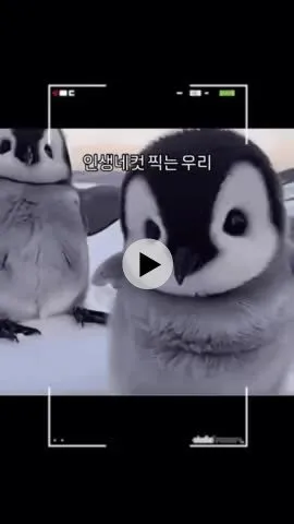 무새 젖엇는데 ㅜㅡㄴ3