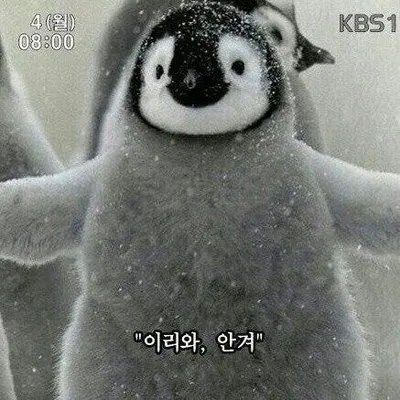 무새 젖엇는데 ㅜㅡㄴ4
