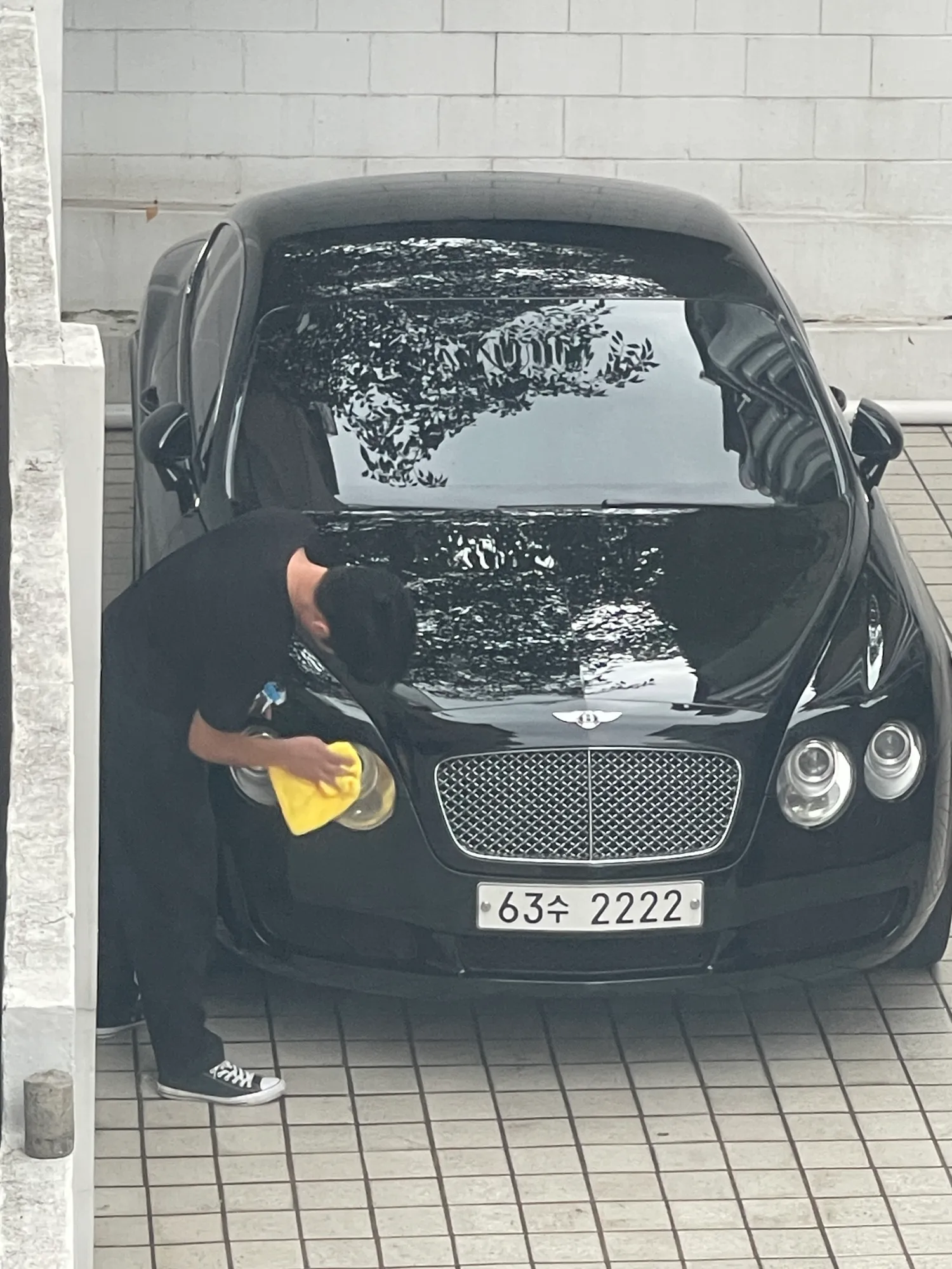오늘도 여전한 중고벤틀리남 댓글
