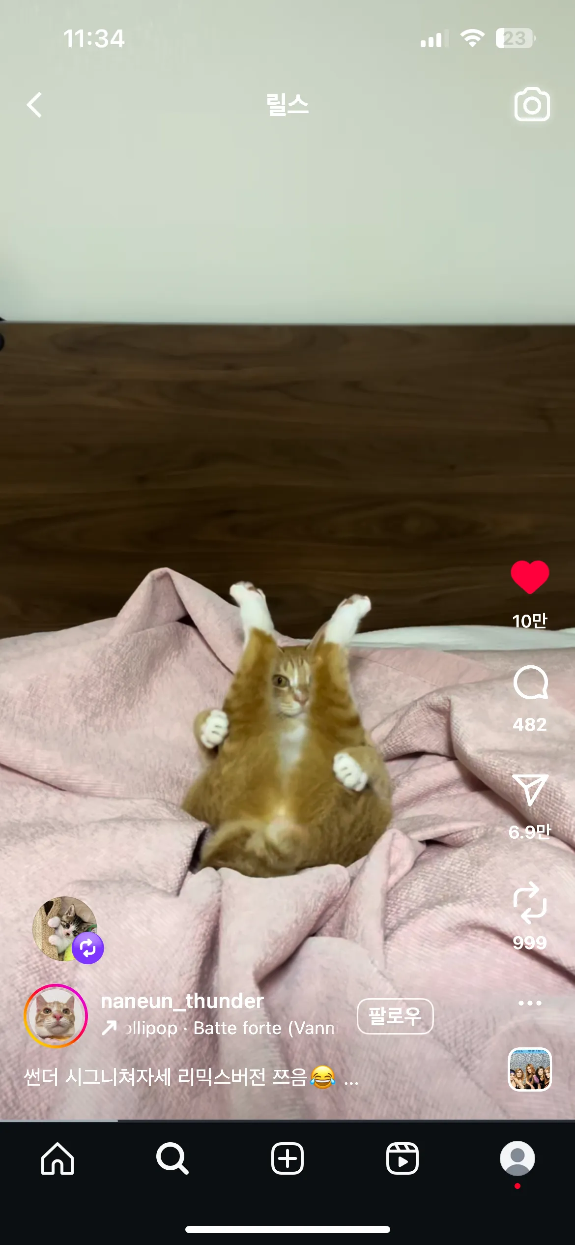 이고양이 넘웃김ㅋㅋㅋㅋ