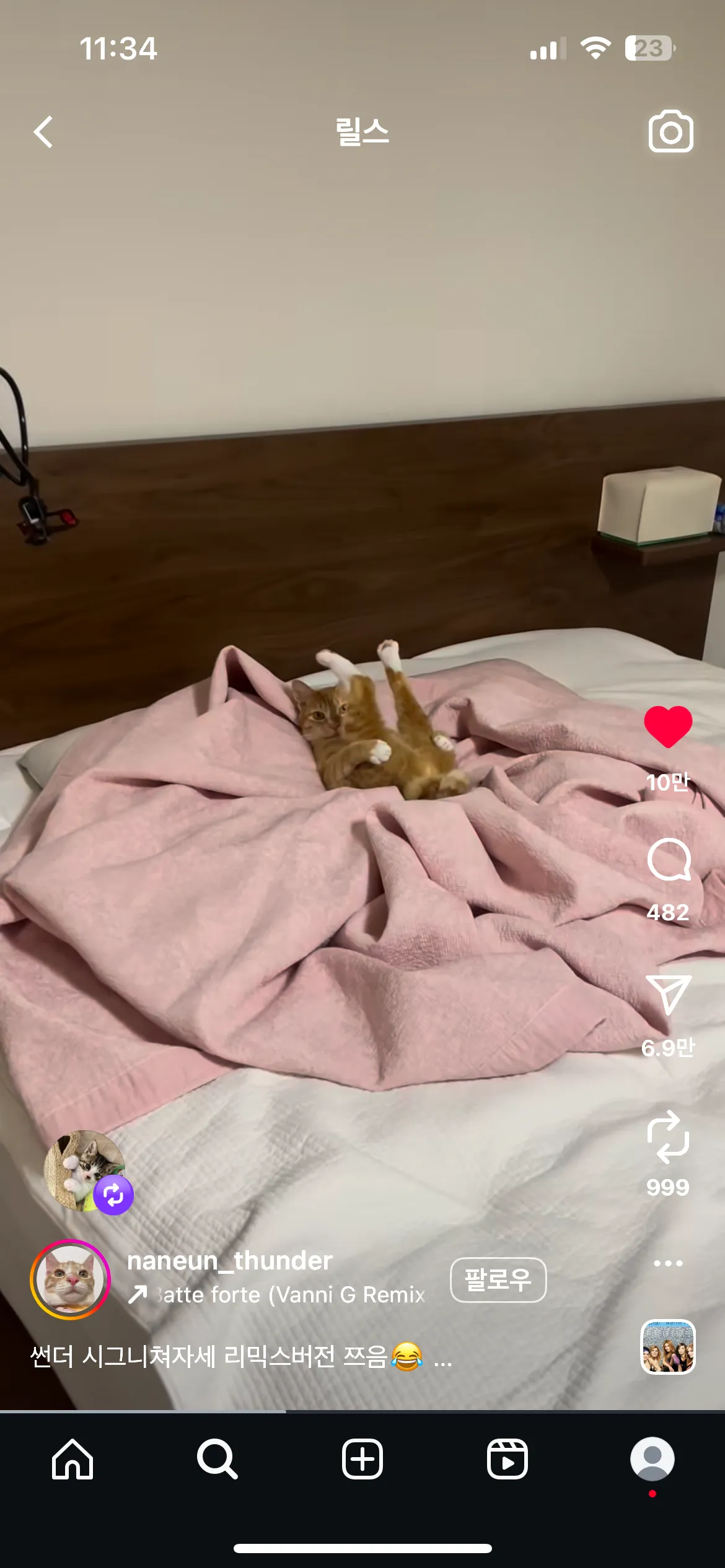 이고양이 넘웃김ㅋㅋㅋㅋ2