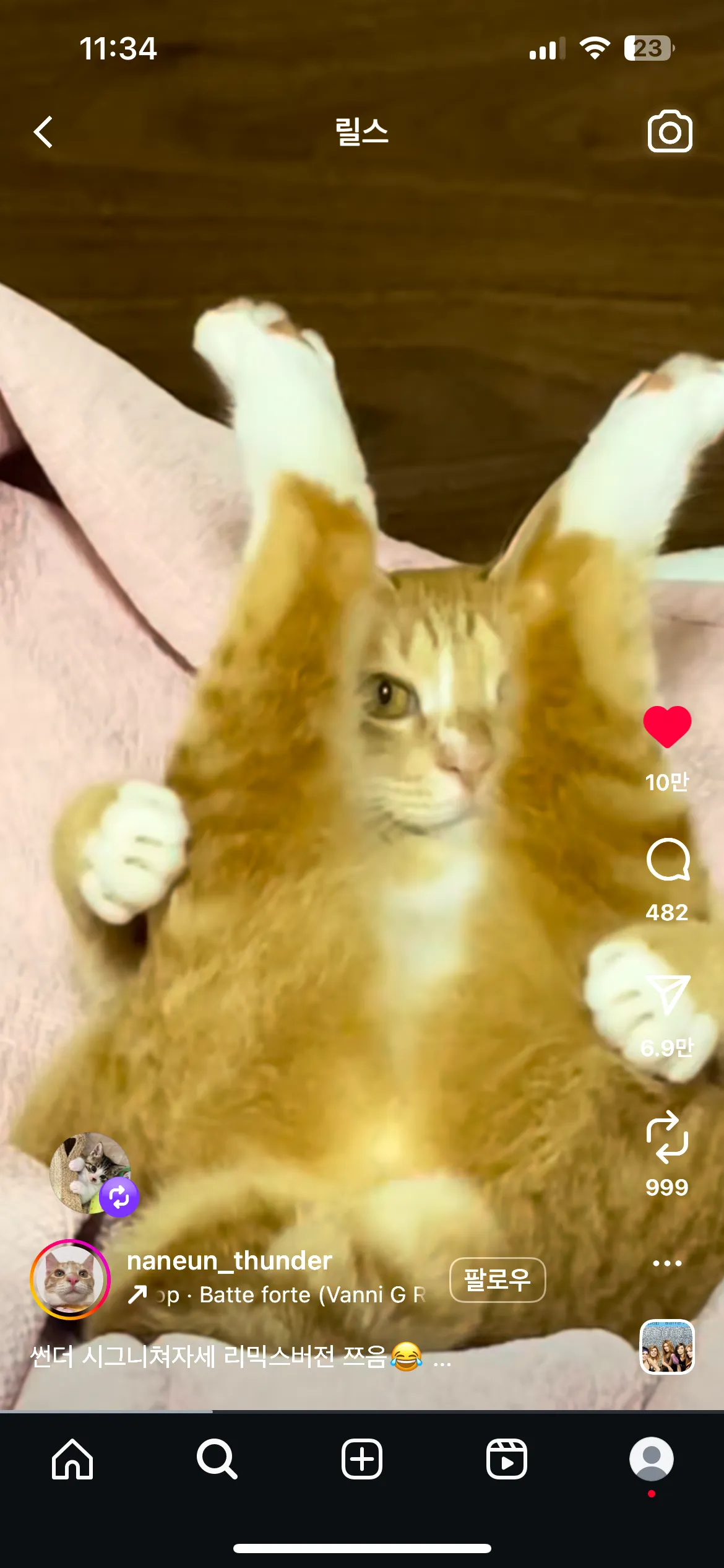 이고양이 넘웃김ㅋㅋㅋㅋ3
