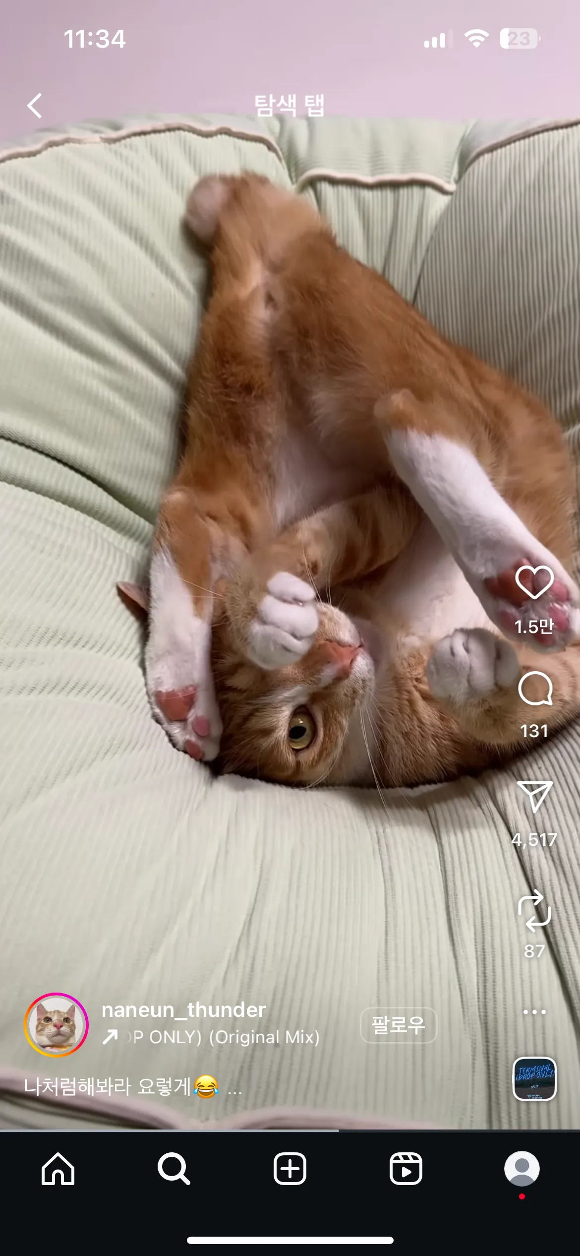 이고양이 넘웃김ㅋㅋㅋㅋ4