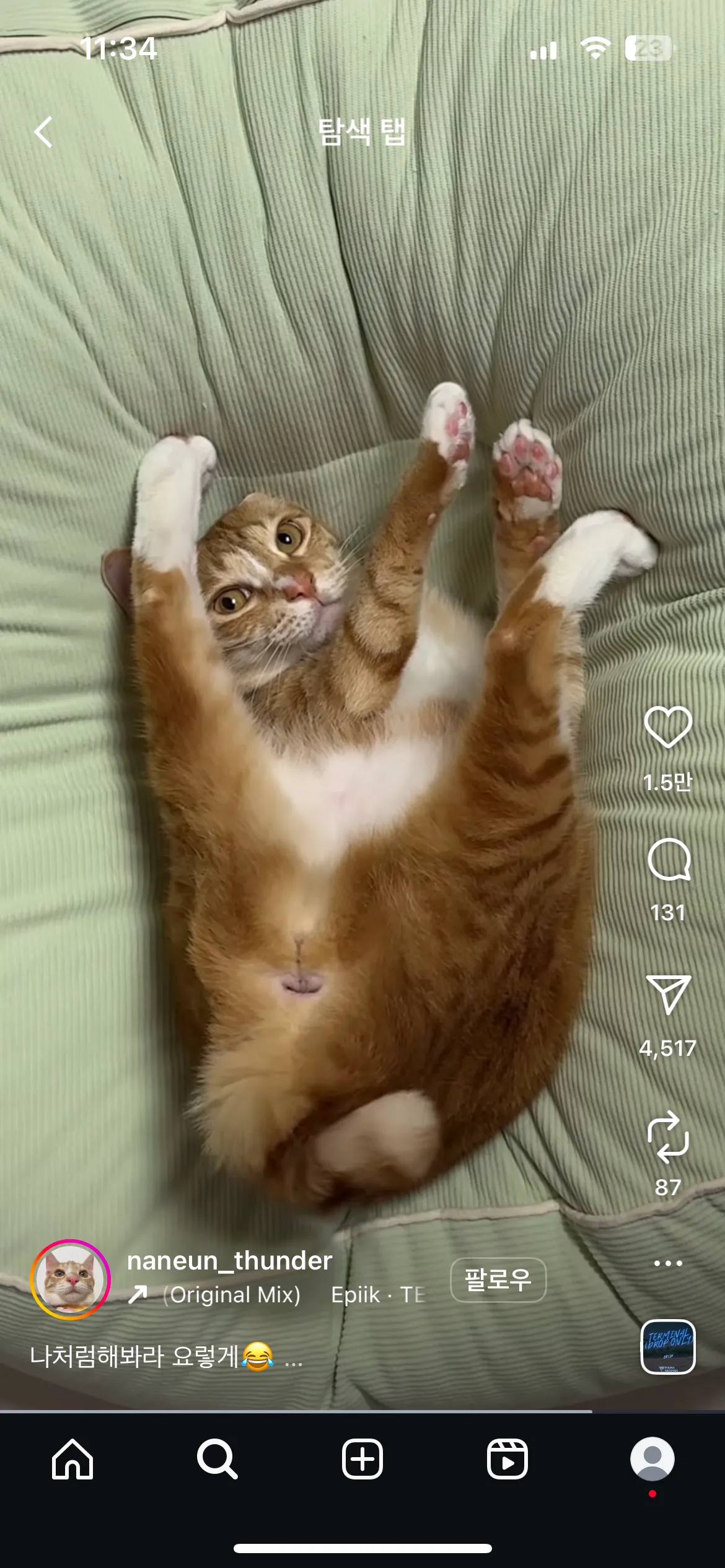 이고양이 넘웃김ㅋㅋㅋㅋ5