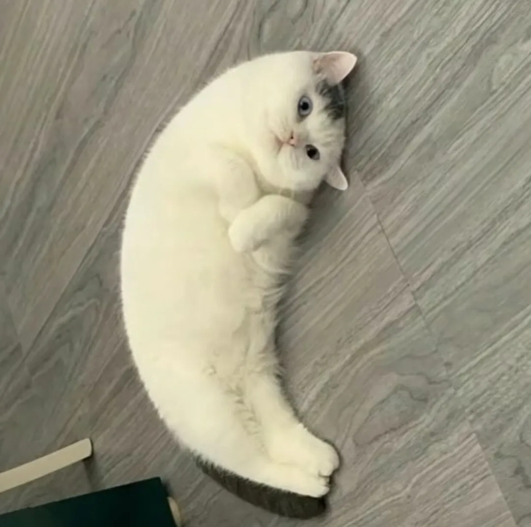 여기 나대는 부장 댓글
