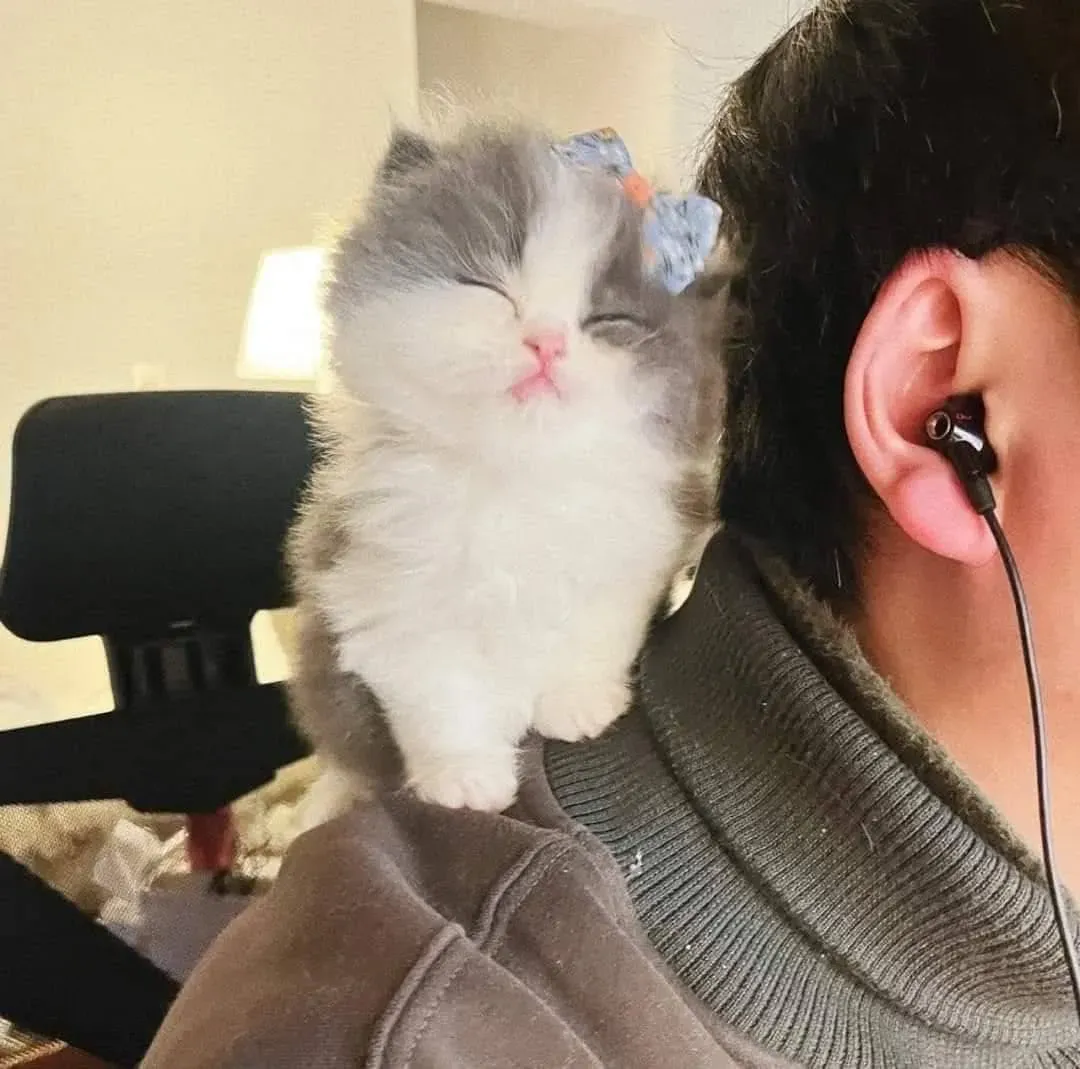 여기 나대는 부장 댓글 7