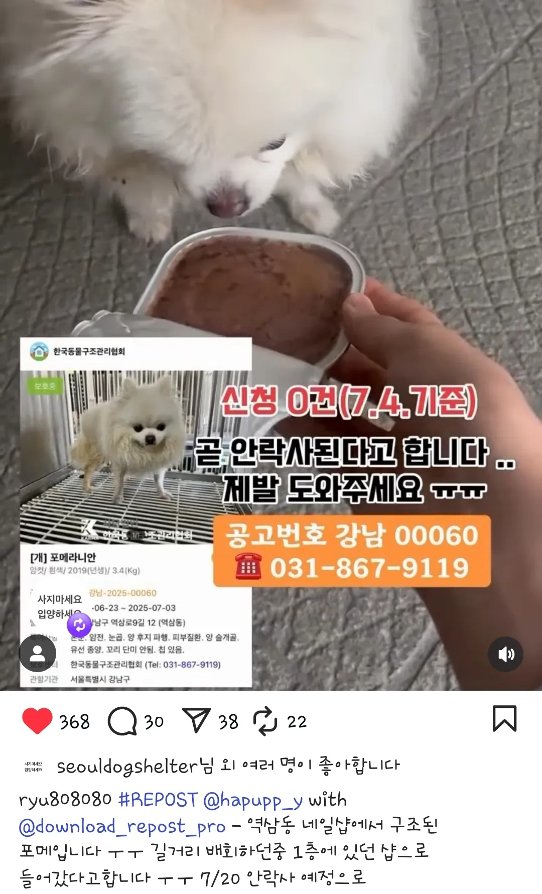 역삼동에 포메 버린 정신병자ㄴ 누구냐