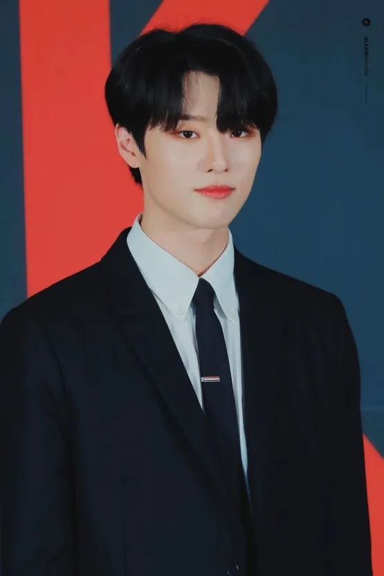 내 이상형상 연옌들인데3