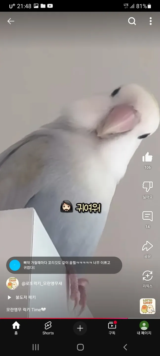 언니들 모해 자니이