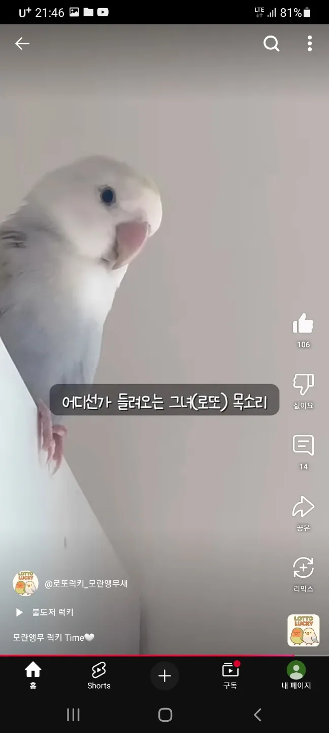 언니들 모해 자니이2