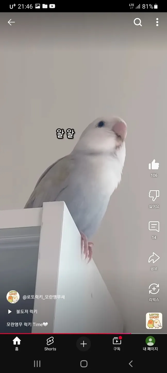언니들 모해 자니이3