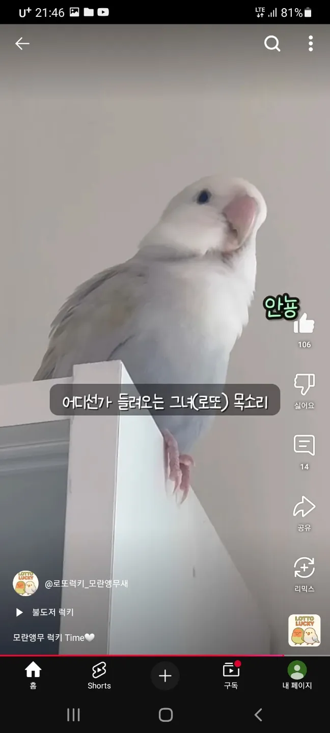 언니들 모해 자니이4