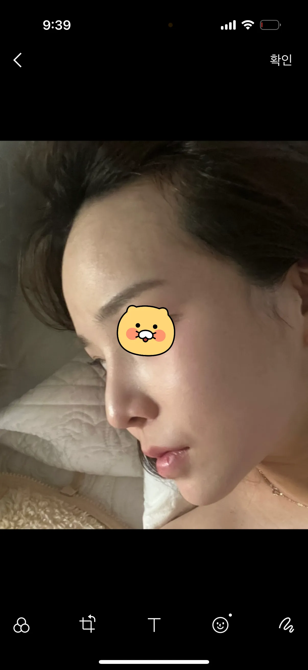 위에가 현재 제코고