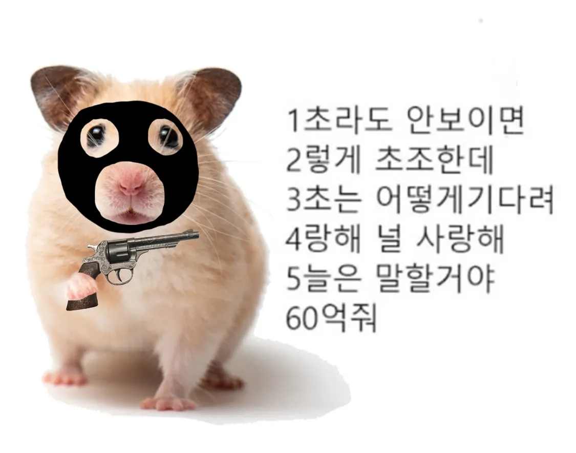 햄스터가 간식먹는거 너무귀여워용