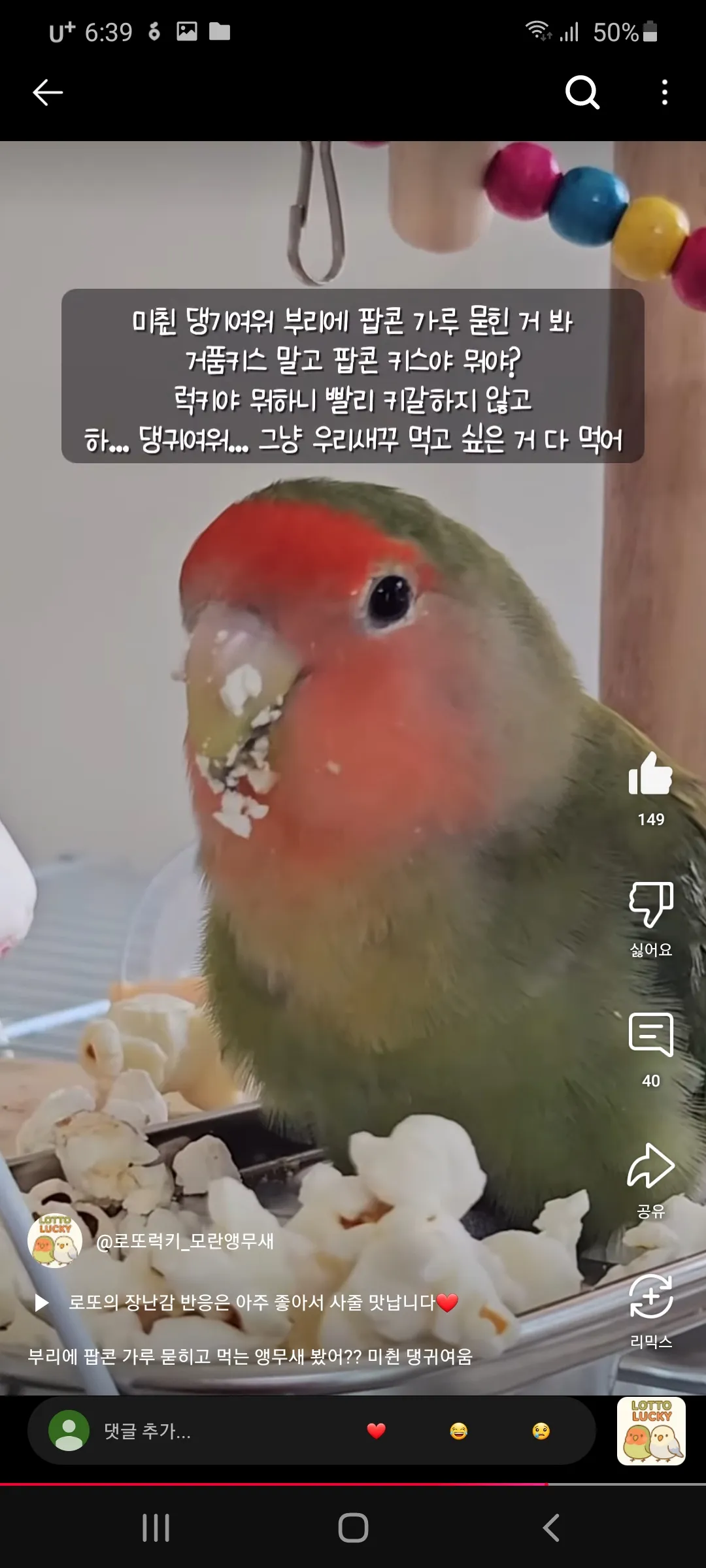 언니들 무새랑 팝콘 끼쑤할래 ㅇㅅㅇ