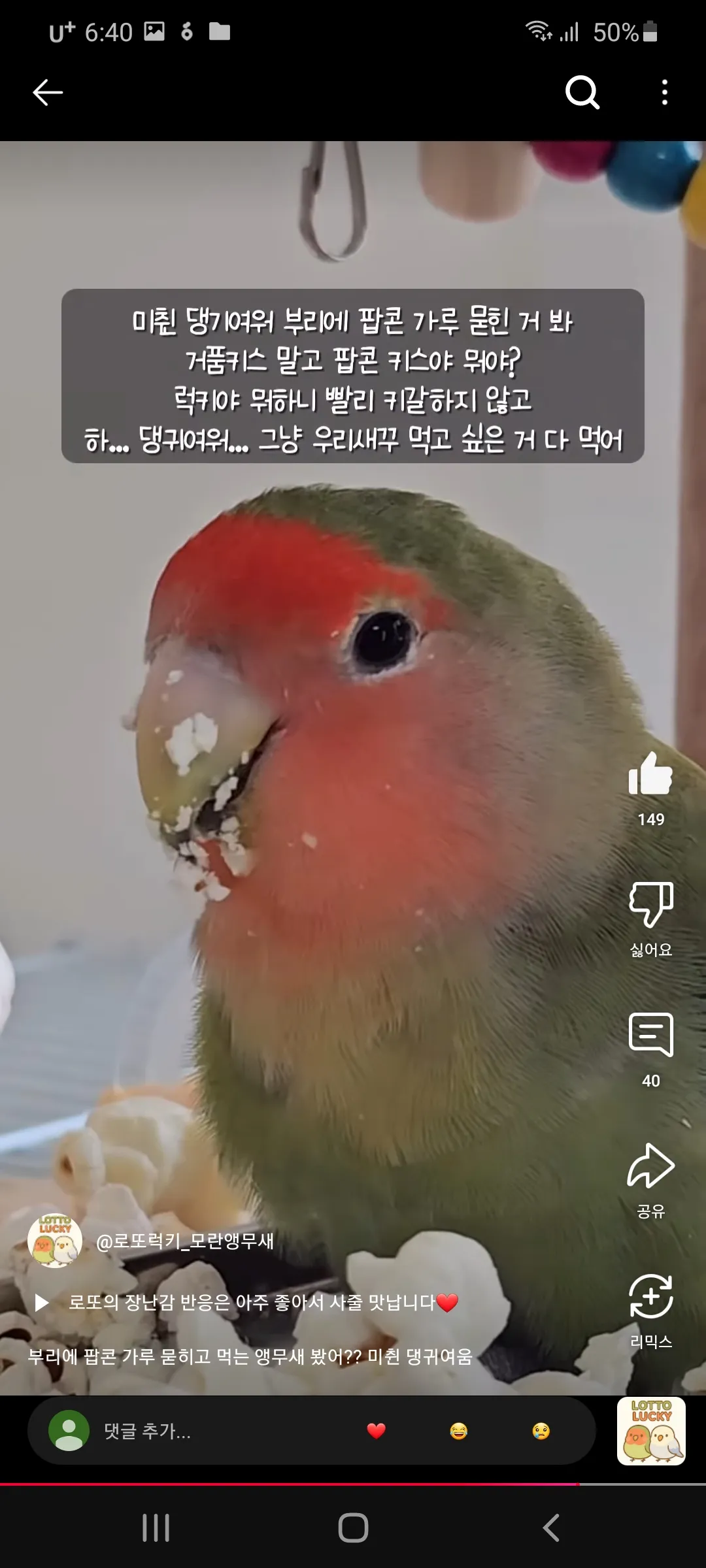 언니들 무새랑 팝콘 끼쑤할래 ㅇㅅㅇ3