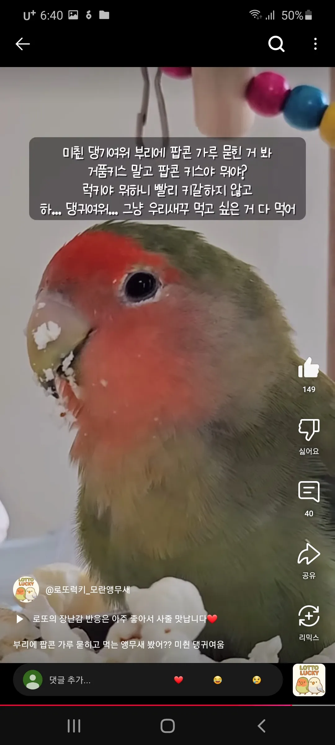 언니들 무새랑 팝콘 끼쑤할래 ㅇㅅㅇ4