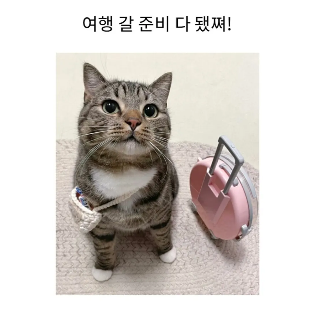 여기 자주 보이는 댓글