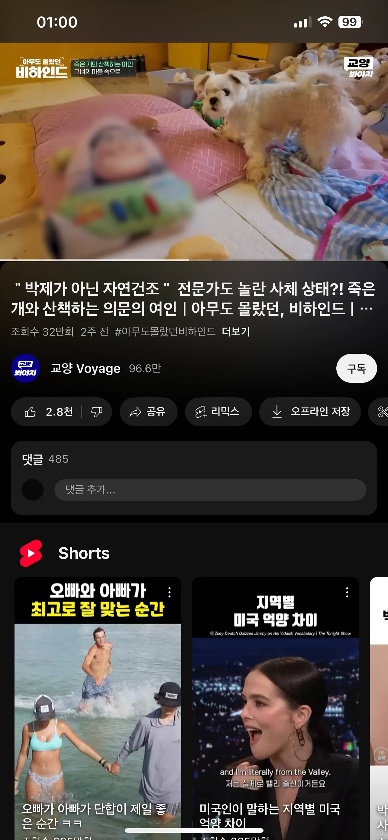 이거 보신 분 있나여