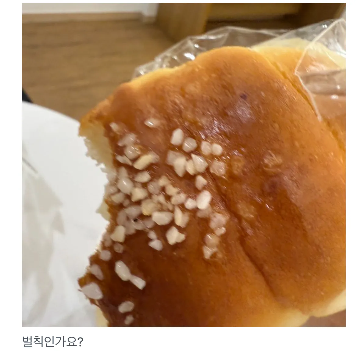 소금빵 이시발 댓글