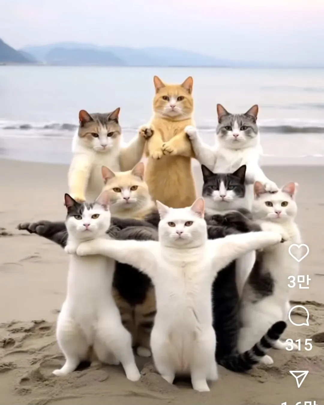 젭알 우리좀 도와줘...feat.하퍼공주2