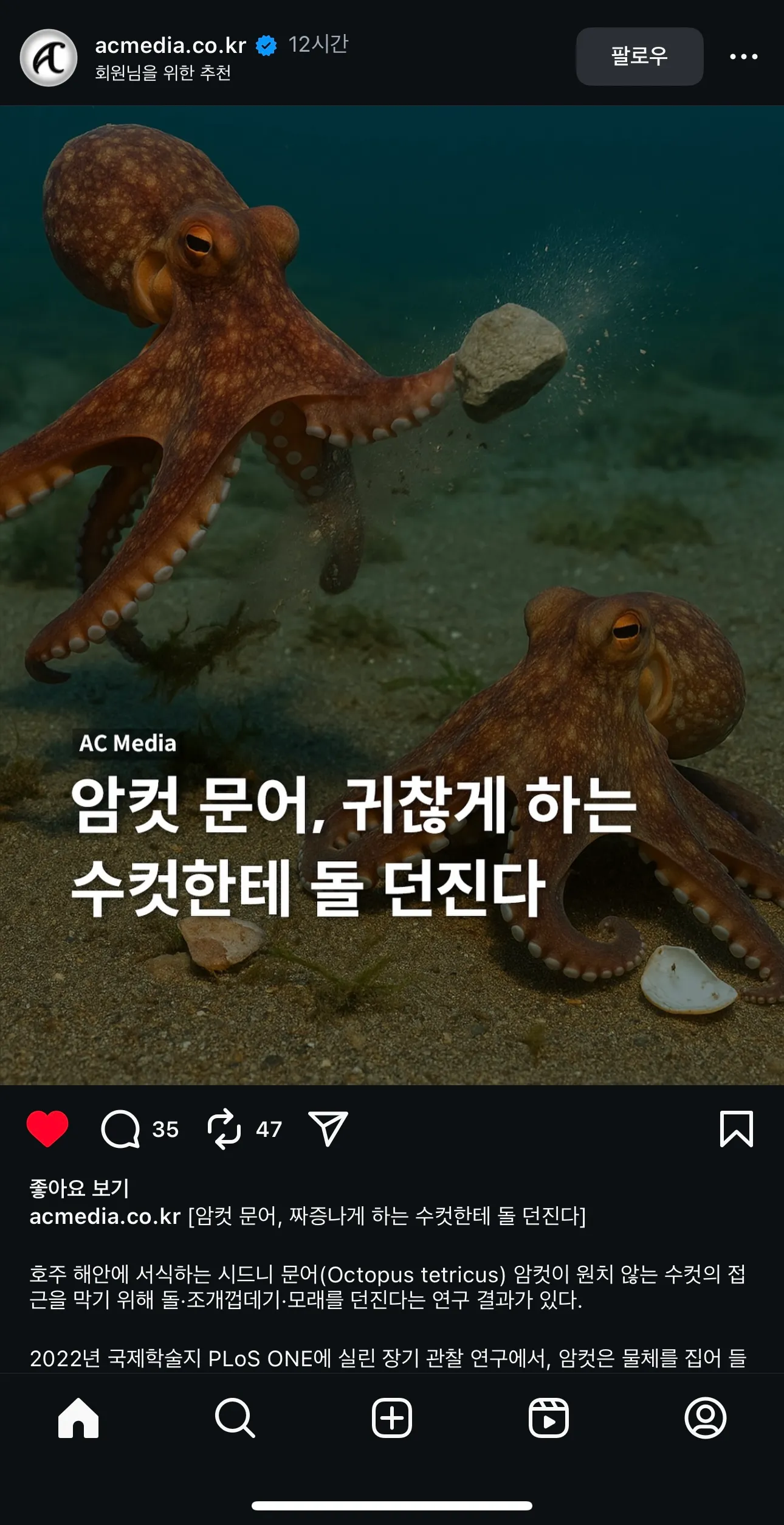 전 이제 문어로 살거에요