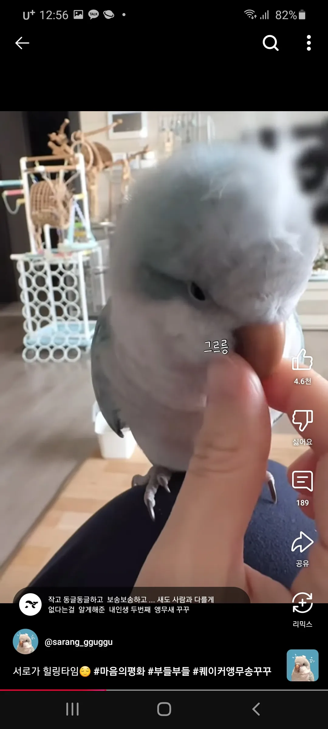 밑에글보다 댓글 2