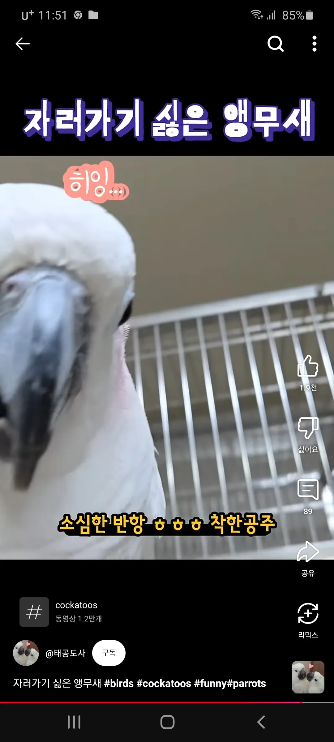 언니들 일할 때 짱구는못말려 댓글