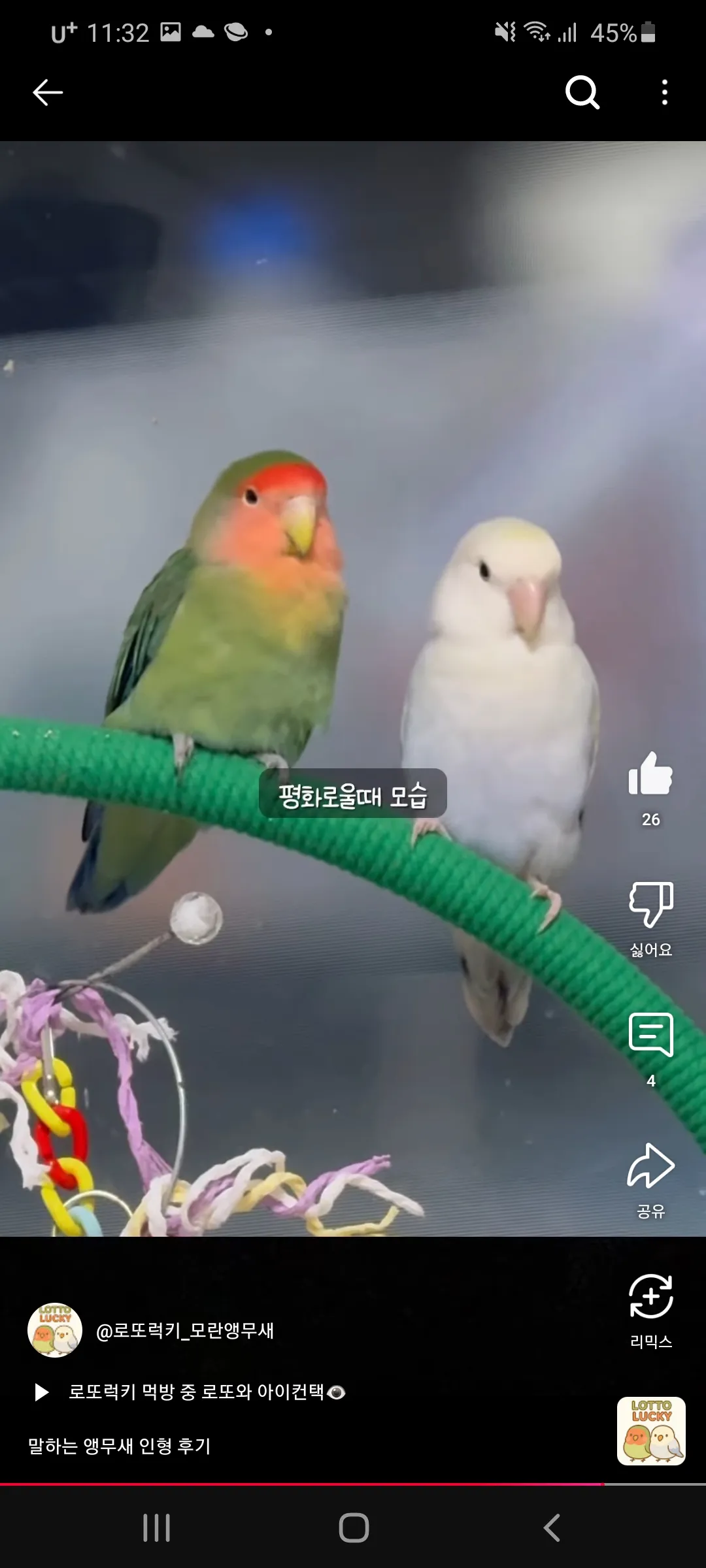 지나가다 주웠는데 쓸데없이 웃겨요 댓글