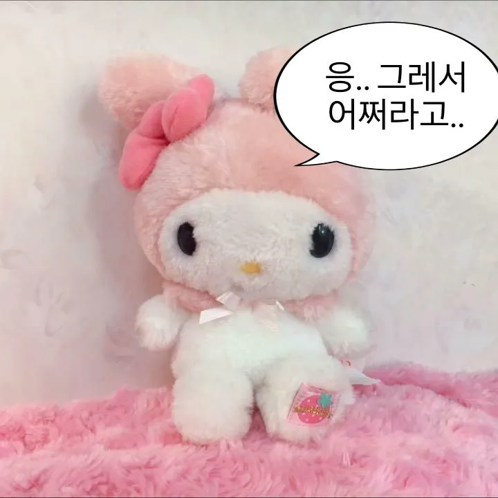 언니들 키티 좋아하시나요? 댓글