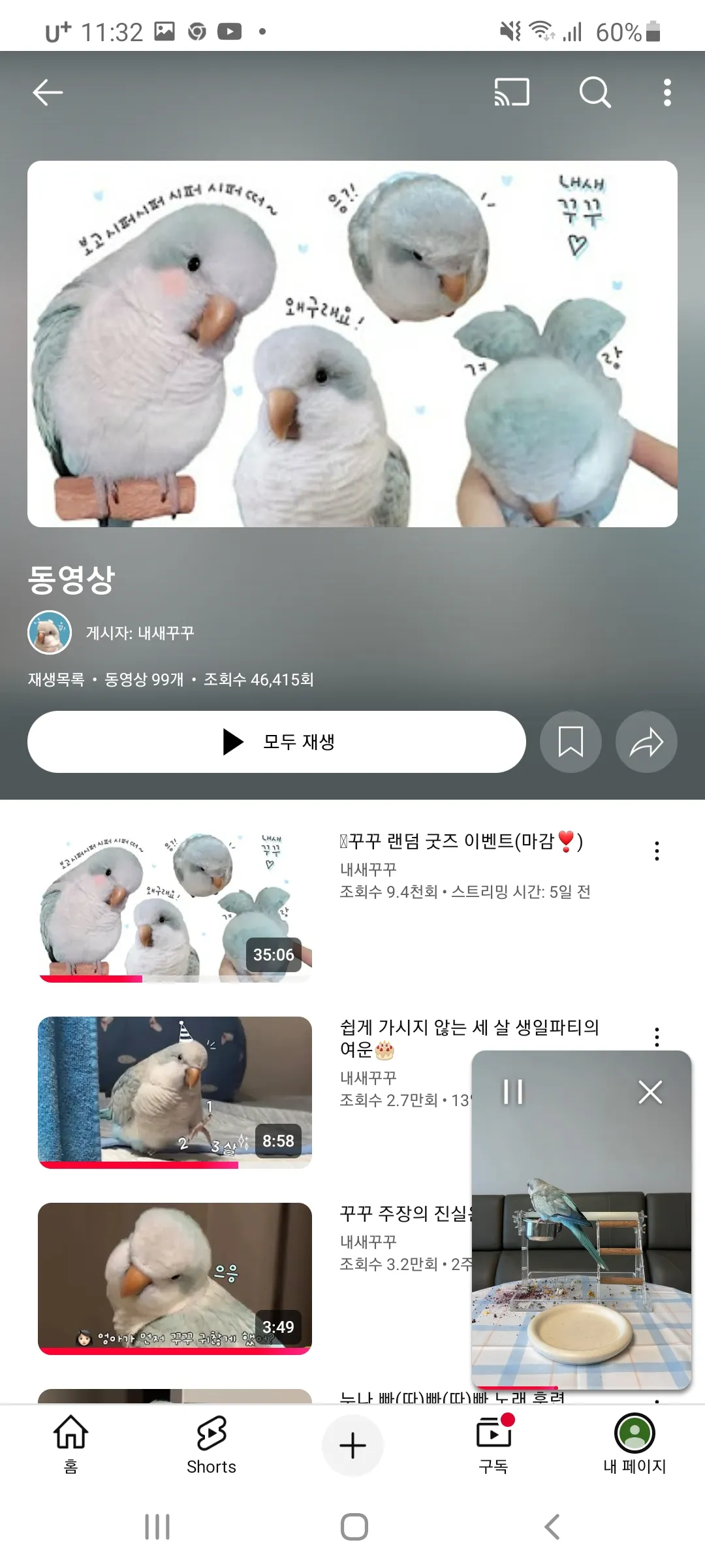 언니들 키티 좋아하시나요? 댓글 3