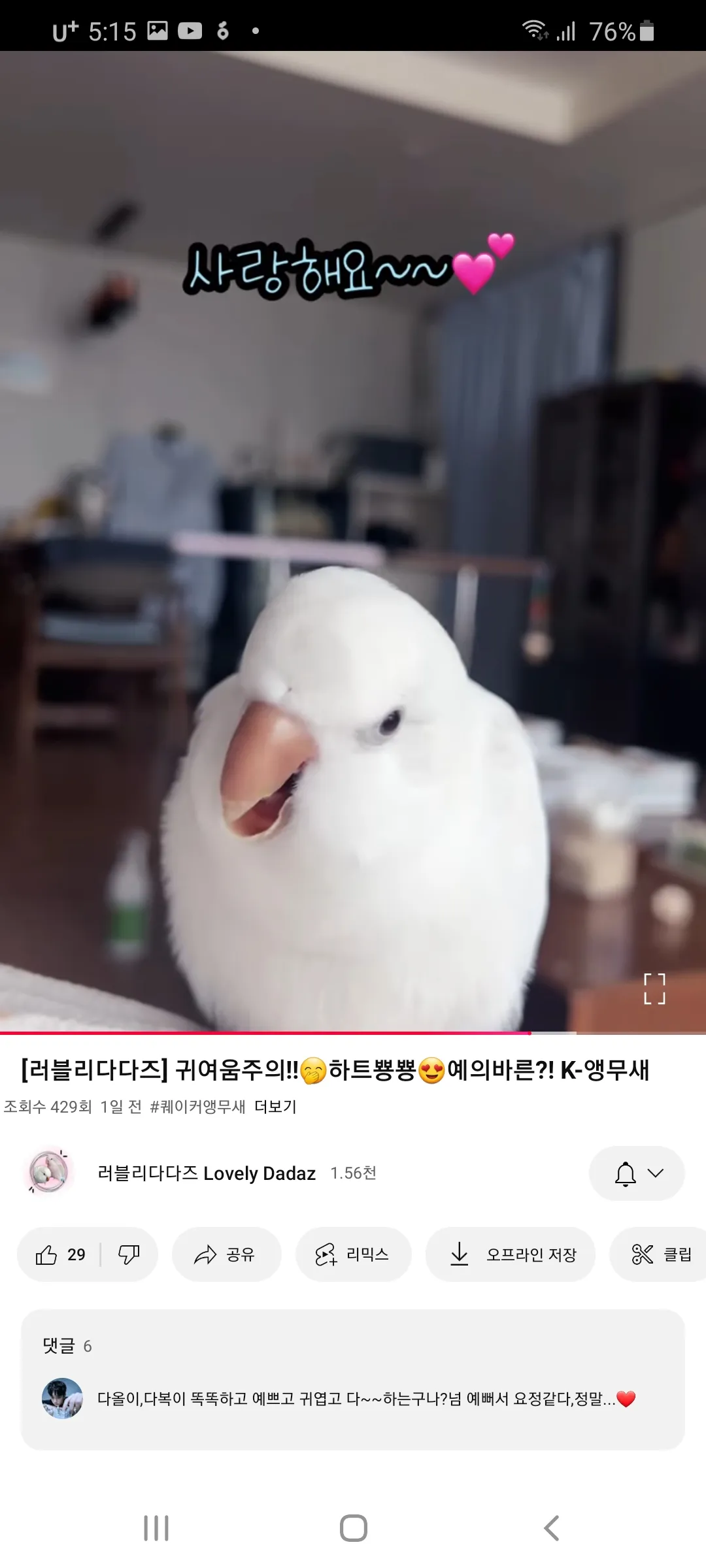 병원놀이할사람 소온 댓글 3