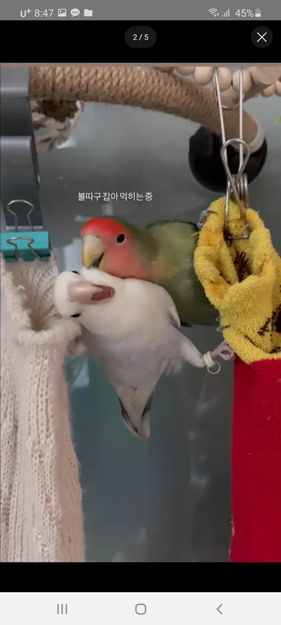 병원놀이할사람 소온 댓글 4