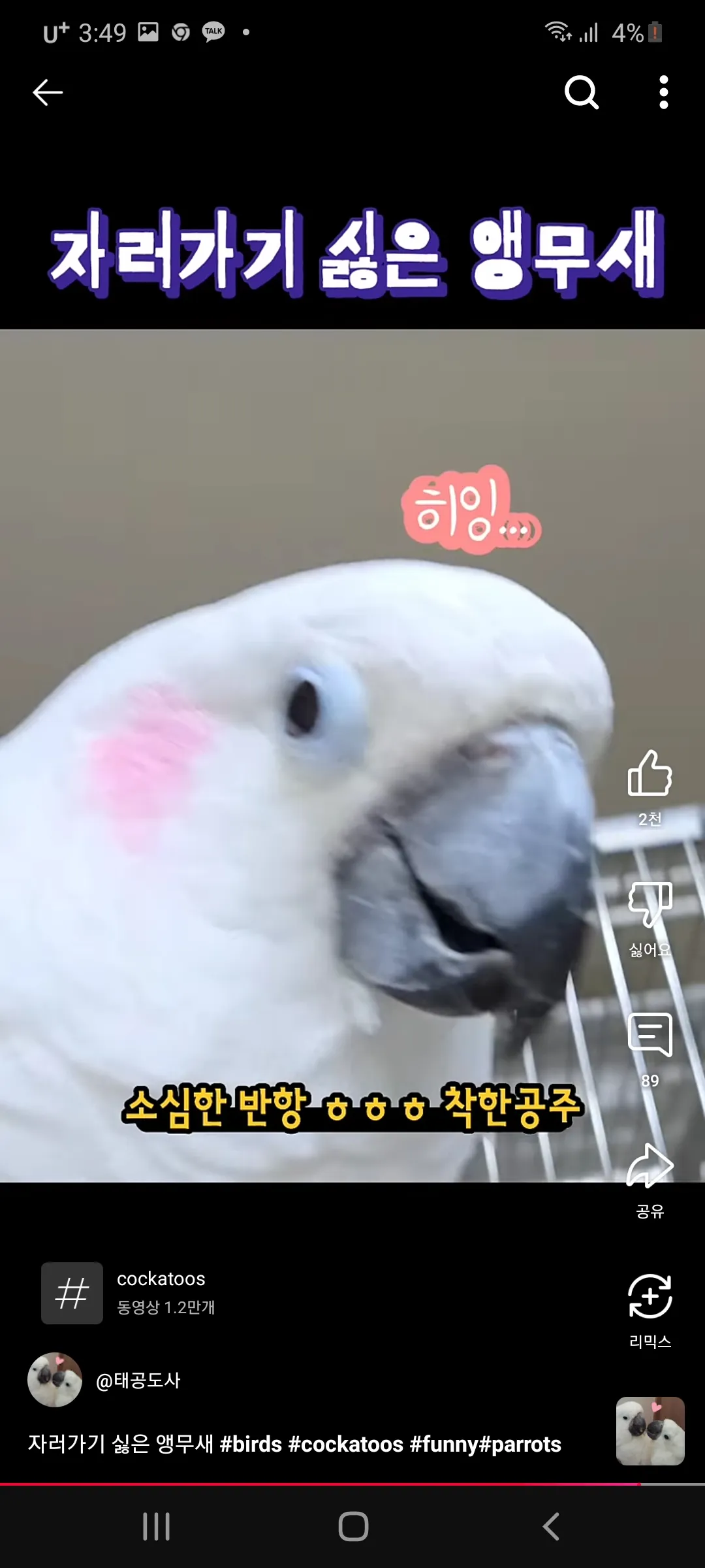 병원놀이할사람 소온 댓글 6