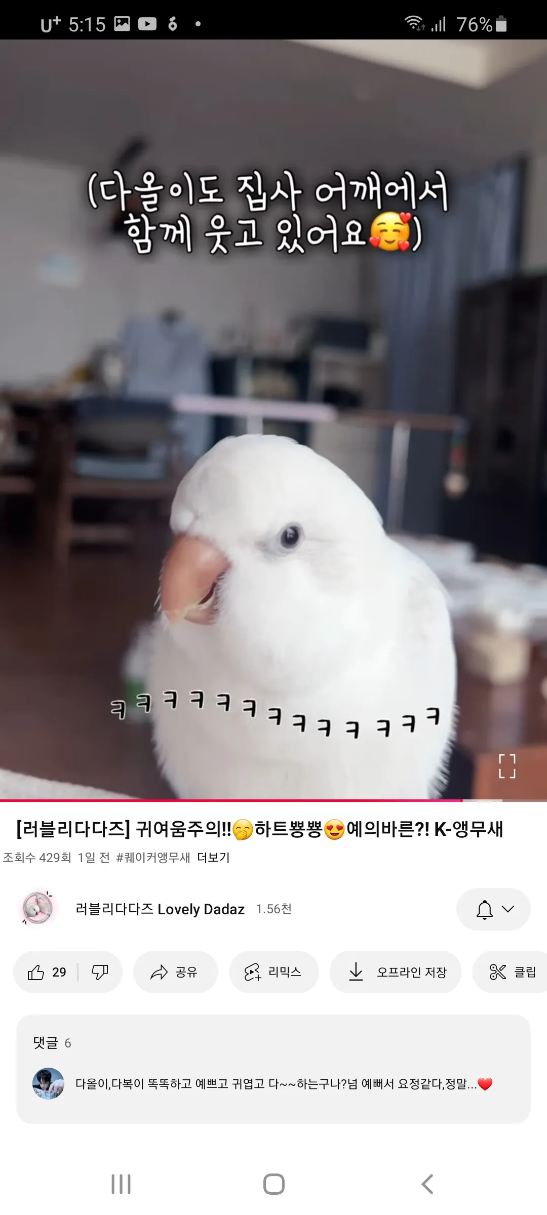 외로와외로와 댓글