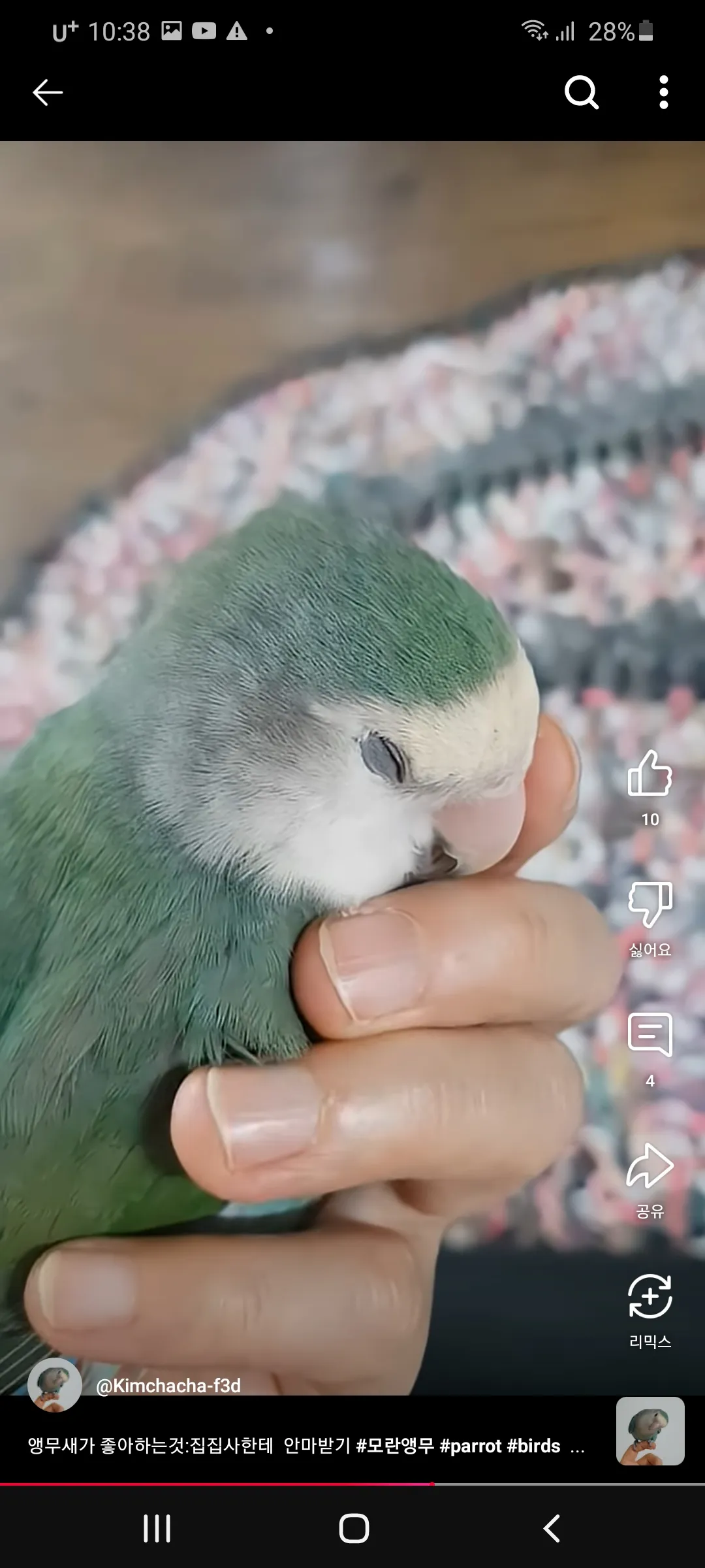외로와외로와 댓글 2