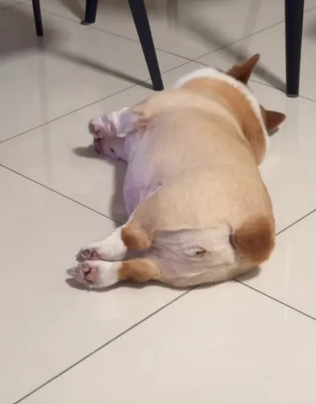 야식먹고
